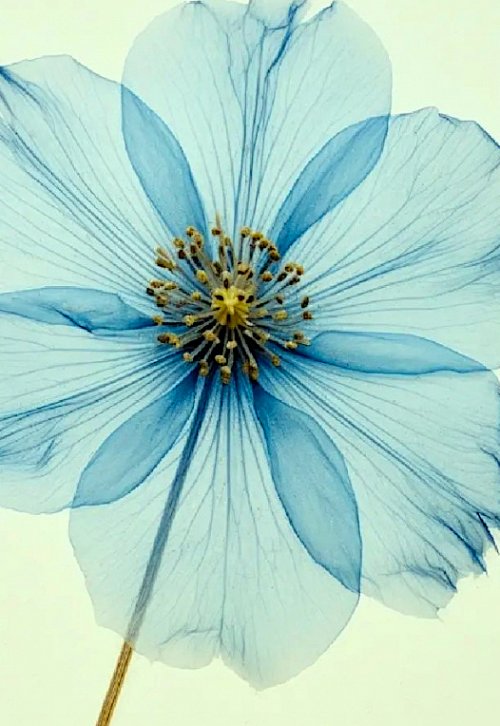 Kristal Wick's Color Inspiration - Blue Cascade - , Wire Jewelry Design, Design, color inspiration blue cascade